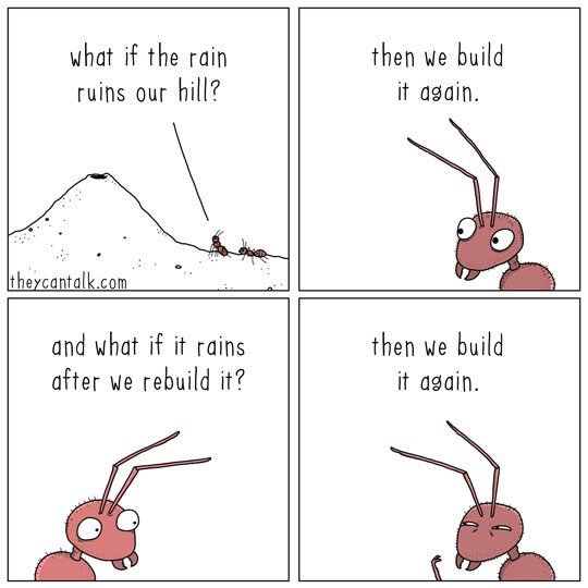 Keep on building and rebuilding!!! Happy Monday 💕🏉