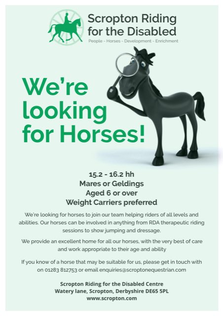 ScroptonHC's tweet photo. 🐴🔍 WE’RE LOOKING FOR HORSES! 🔍🐴

15.2 - 16.2hh
Mares or Geldings
Aged 6 or over
Weight Carriers preferred

We’re looking for horses to join our team helping riders of all levels and abilities.

@RDAnational @Scropton4Biz https://t.co/JFjyUyJgrS
