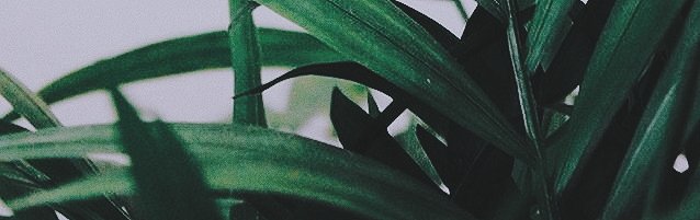 Aestheticpop__'s tweet photo. ▪Heejin loona aestetic pack
 
[Rt or Fav if you save]

#heejin #Heejinaesthetic #Heejinpack #loona #aesthetic #loonaaesthetic #loonapack https://t.co/2jmgOrirNd