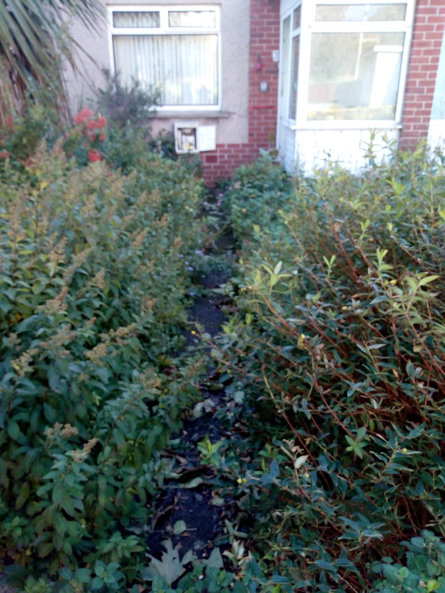 essentials_plus's tweet photo. Massive garden renovation today for Mrs O'Brien.Some before &amp; after photos.Nice job team #EssentialsPlus offers on the job training, with real practical work skills, &amp; a salary while you learn. #SupportingourCommunity #NorthAyrshire #TCB @DYWAyrshire @NAC_CEO @NAC_Leader @NAHSCP https://t.co/s5VPs72j7I