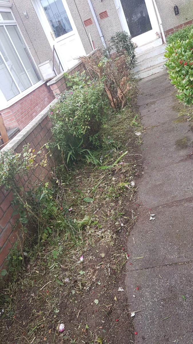essentials_plus's tweet photo. Massive garden renovation today for Mrs O'Brien.Some before &amp; after photos.Nice job team #EssentialsPlus offers on the job training, with real practical work skills, &amp; a salary while you learn. #SupportingourCommunity #NorthAyrshire #TCB @DYWAyrshire @NAC_CEO @NAC_Leader @NAHSCP https://t.co/s5VPs72j7I