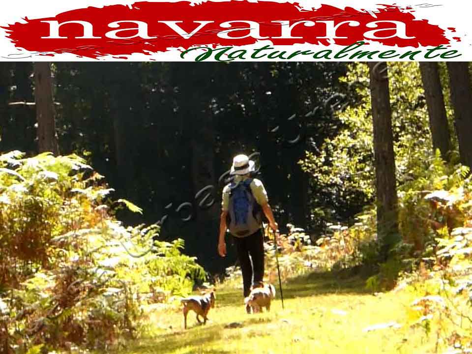 CasaRuralUrbasa's tweet photo. Ven a #Navarra este Otoño y te enseñaremos el #ParqueNaturalUrbasa y podrás disfrutar de las mejores rutas de #Senderismo y visitar #RutaCascadasBaquedano https://t.co/9Rw6N0xQRK -cu- https://t.co/uSski1ZYqi -nu- #NavarraNaturalmente #ComarcaUrbasaEstella @TurismoNavarra https://t.co/W0URqaXY3j