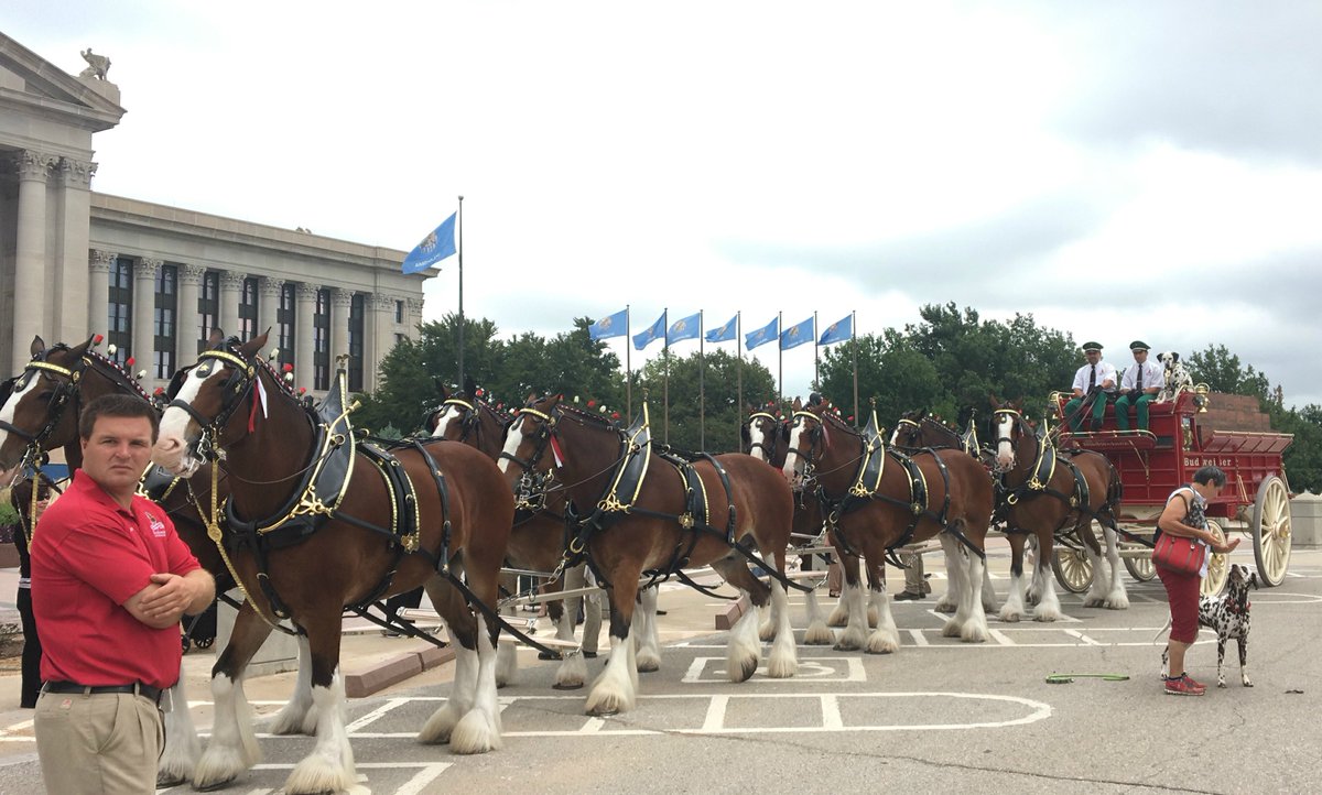OKBeerAlliance's tweet photo. Happy #BeerModernization Day, Oklahoma! We're celebrating with the @Budweiser Clydesdales at the OK Capitol! Tell us how you're celebrating! https://t.co/y83lUsVqnO