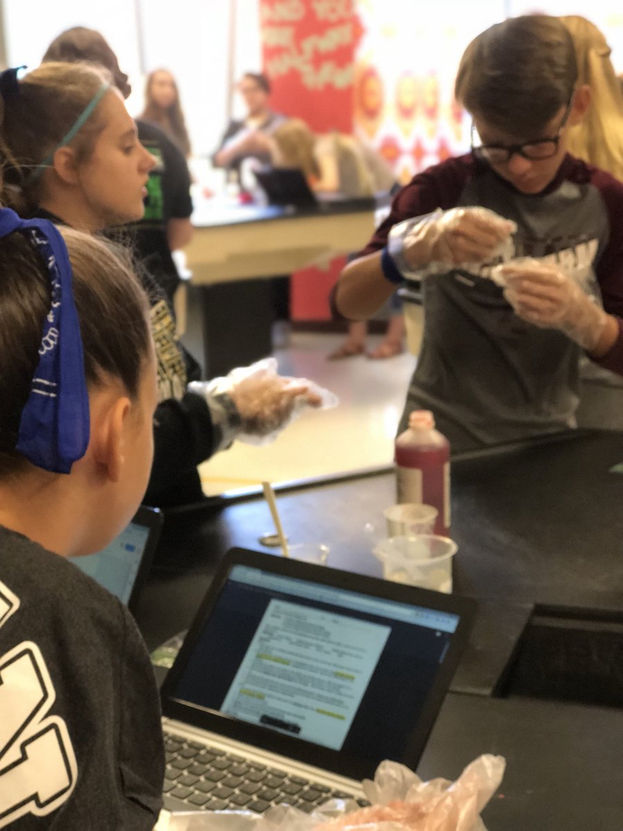 MsHolmes312's tweet photo. Lab today! #RCMSJOY https://t.co/2olTBZPk3e
