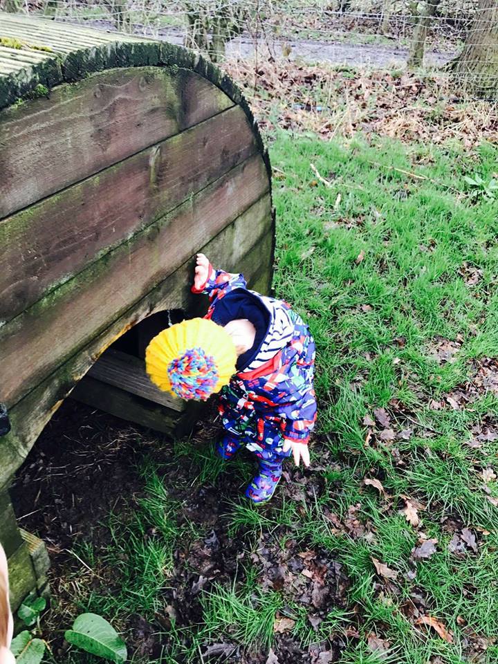 StockleyFarmPk's tweet photo. STOCKTOTS this week is all about discovering the amazing ways the wildlife prepares for Winter, and how we can give the animals a helping hand.
Book online at https://t.co/ntsLC41Uco
#toddlerfun #adventure https://t.co/drPA5SufhT
