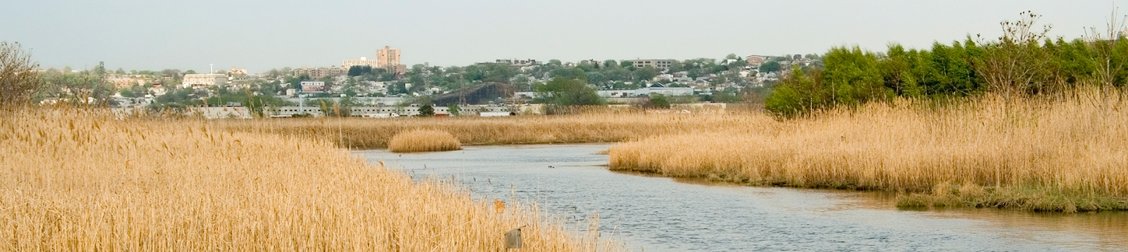 Ecosystems provide many benefits to communities, including protecting our coasts. go.usa.gov/xRhkv #Ecosystemservices #strongcoasts