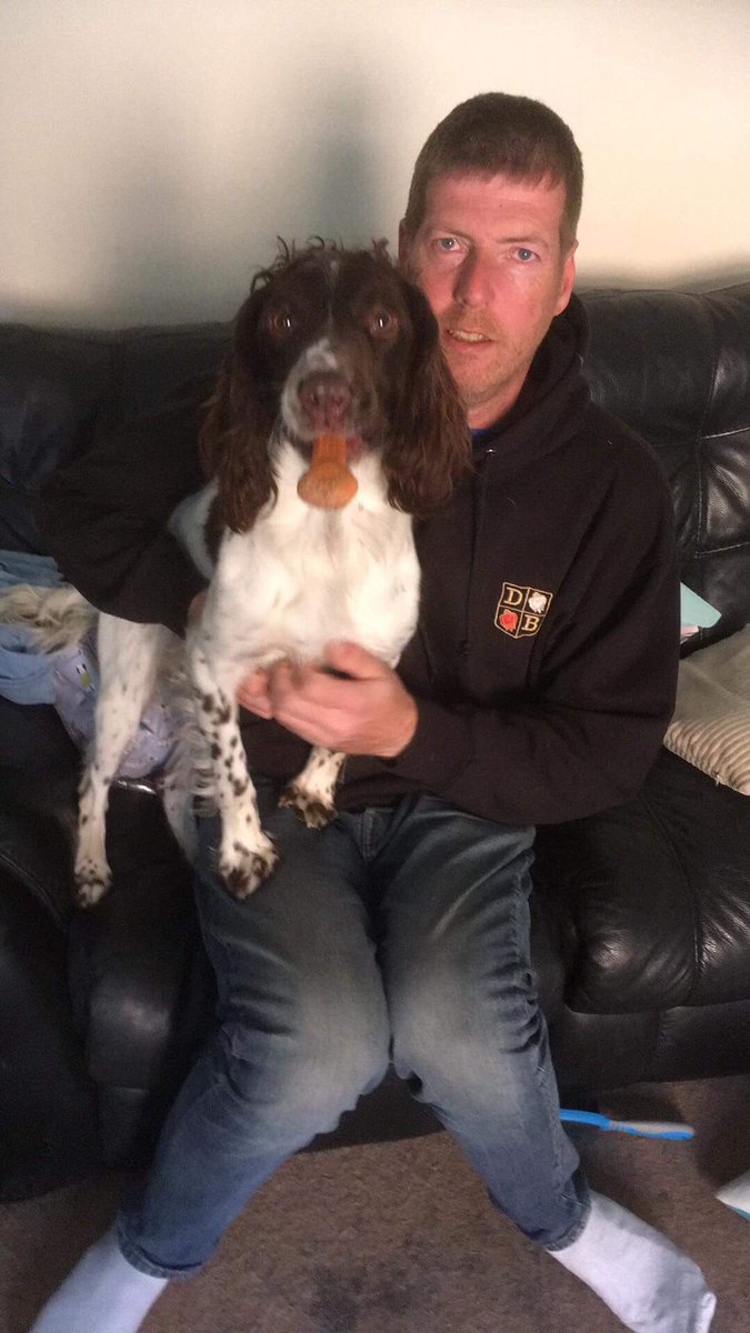 rosieDoc2's tweet photo. #findAri ❤️REUNITED❤️
STOLEN 29/9 at DONCASTER RACECOURSE in BROAD DAYLIGHT thieves targeted the #gundogshow A WHITE MALE dragged him through a small gap from car & shoved him in van speeding off with owner in pursuit
‼️ P&O FERRIES ‼️poss taking to IRELAND #IrishSea https://t.co/nM8X1y6aeB
