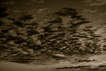 Volando hacia N.Y a ver nuestra ciudad perdida, a queridos amigos y camino a ver "Roma" con la bella <a href="/MarDeTavira/">Marina de Tavira</a>