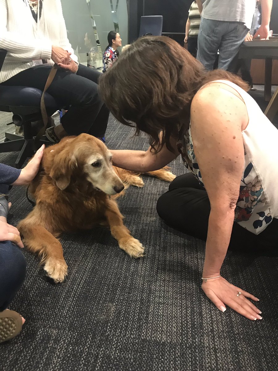 rachg522's tweet photo. Our @NYLawJournal #editor @sndesantis gets a chance to meet Mia. #insideALM @ALMMedia https://t.co/dHlrlDF1hl