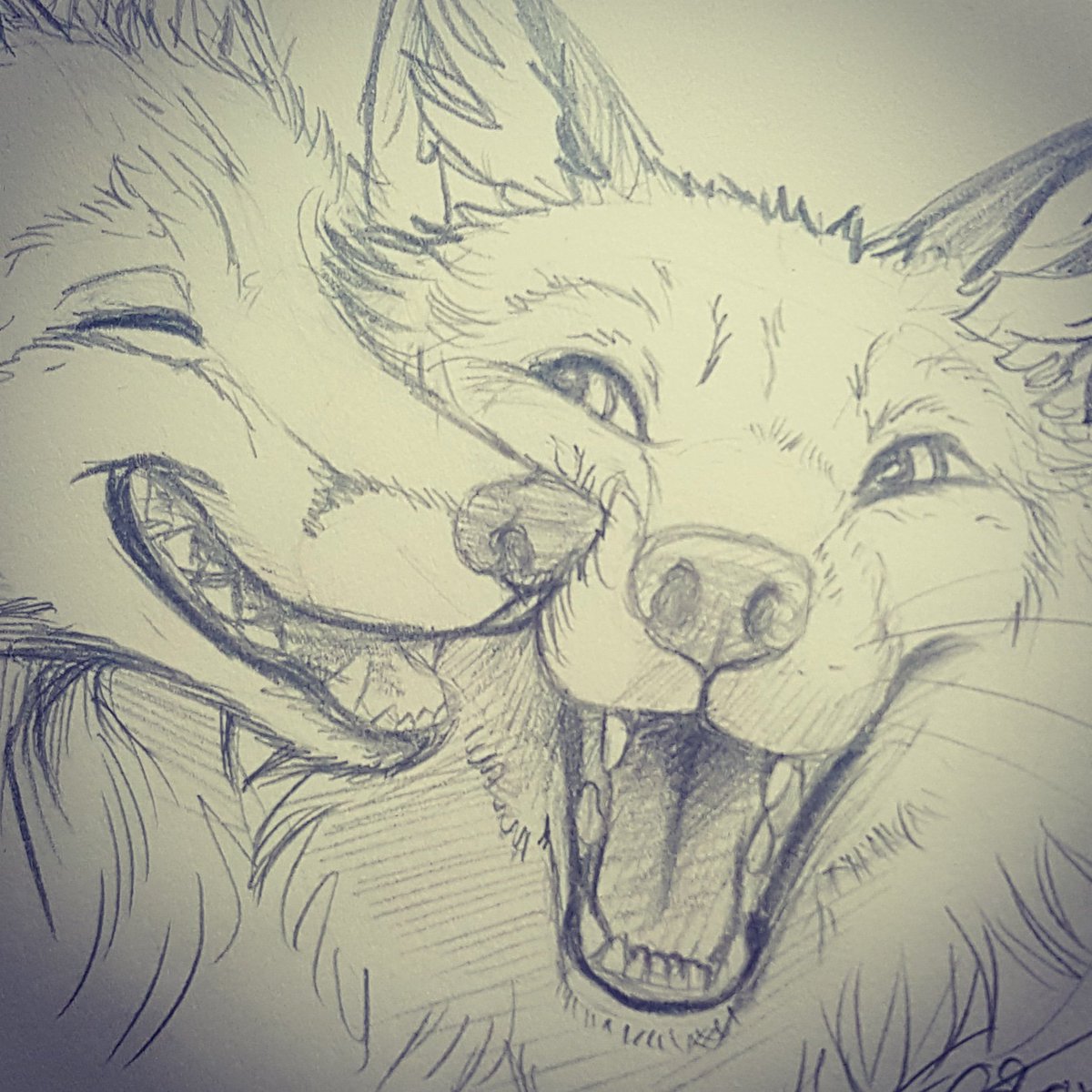 EosFoxx's tweet photo. So my own little month challenge! #foxtember A fox a day keeps Grey Oktober weather away!
Have a great day! https://t.co/jvADDirQ7S