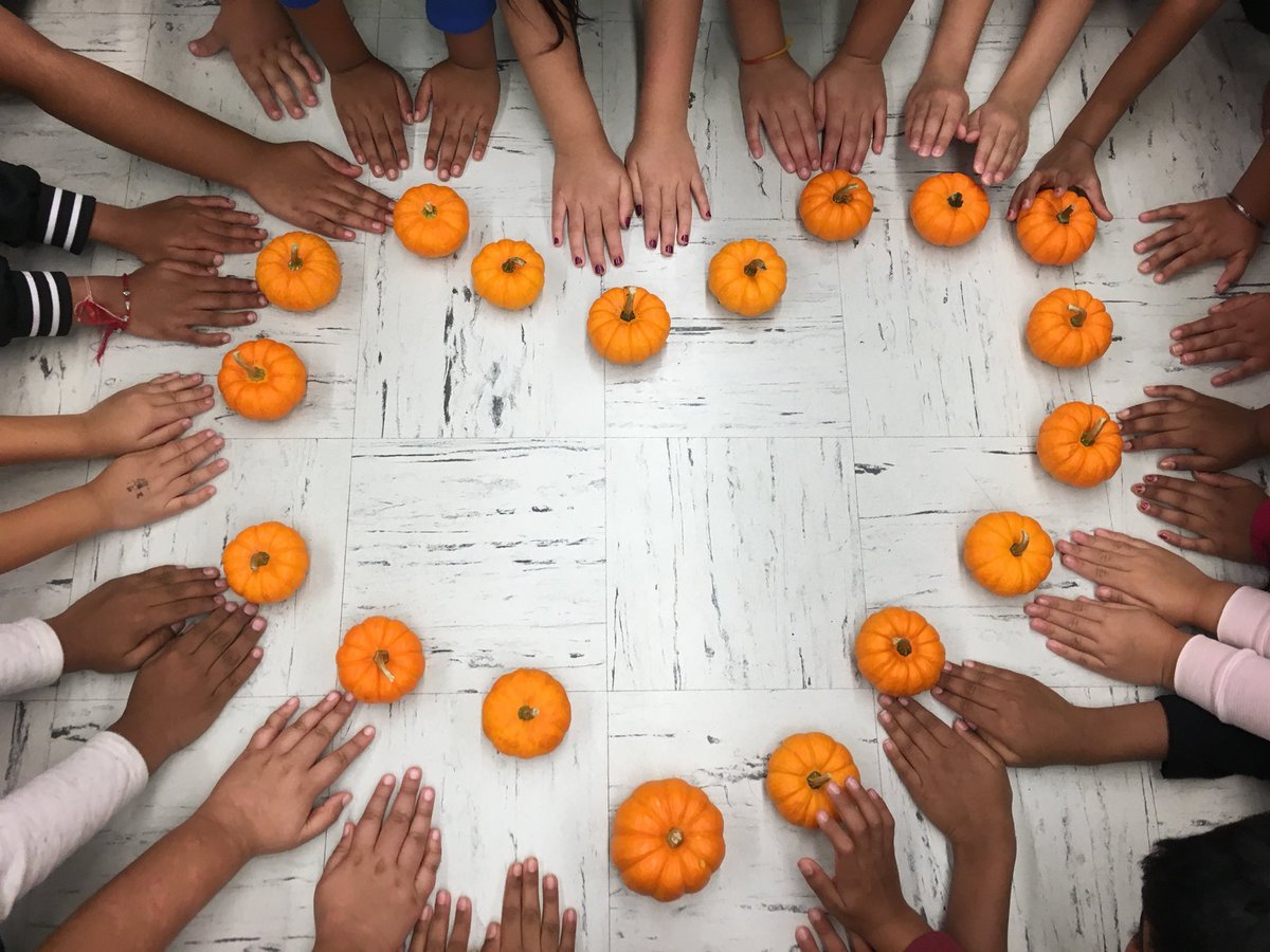 LindaCiccarella's tweet image. October love and respect in room 104 @WoodbrookSchool @cirillo_nicole @MrNarvaezRuiz #octoberrespectmonth #respectourdifferences #respect #beautifulchildren #DiversityandInclusion #blessedteacher #luckyme #lovemyjob