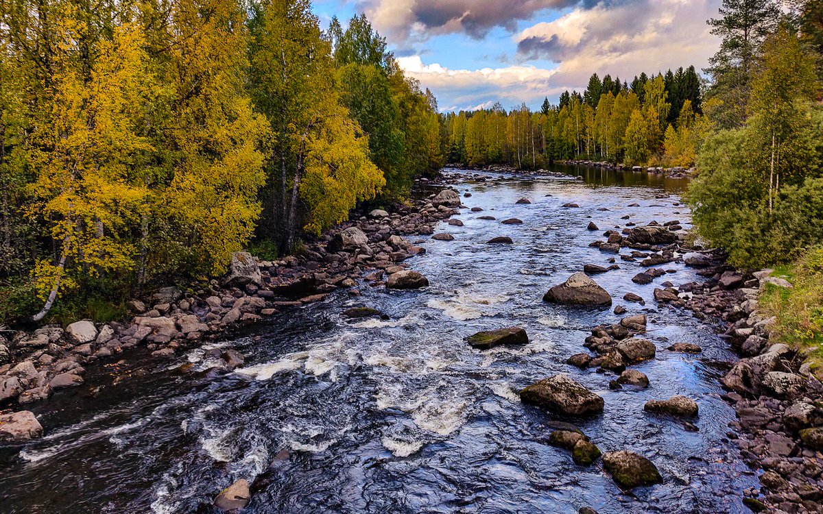 jargonkuvatfi's tweet photo. Aina jaksaa ihmetyttää millaisia paikkoja on näkemättä aivan tuttujen reittien läheisyydessä. Eilen pieni poikkeama Nelostieltä länteen Viitassaarella ja saavuin Huopanankoskelle. #huopanankoski #viitasaari #visitfinland https://t.co/zUB3goHFqr