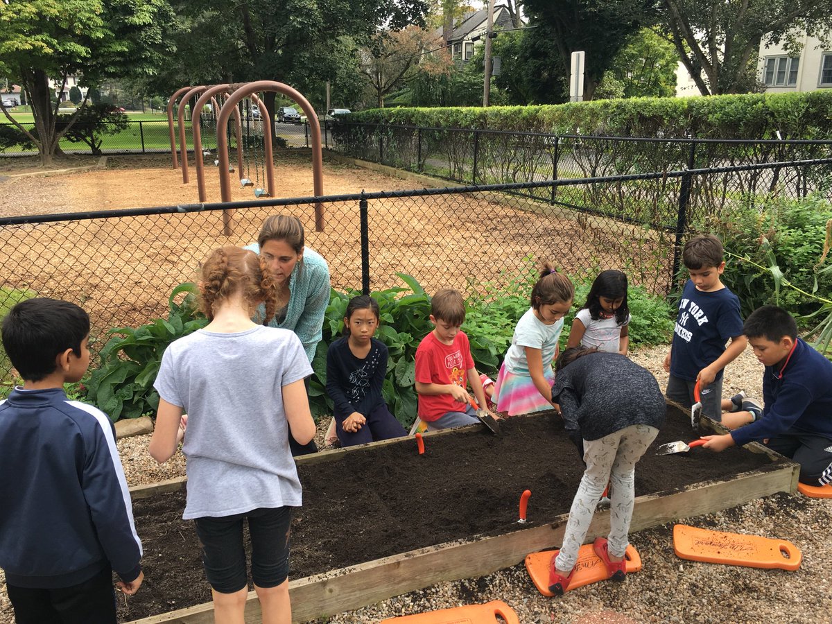 EDMrsHuang's tweet photo. A beautiful day! Planted spinach and can’t wait to harvest in Nov. We learned more about 🥒vegetables, 🍅fruits, and 🌿herbs and used descriptive language to write a story pretending to be a plant. We also learned about where 🥕carrot seeds come from - the flower! #edgewoodproud https://t.co/gezRI1lWWp