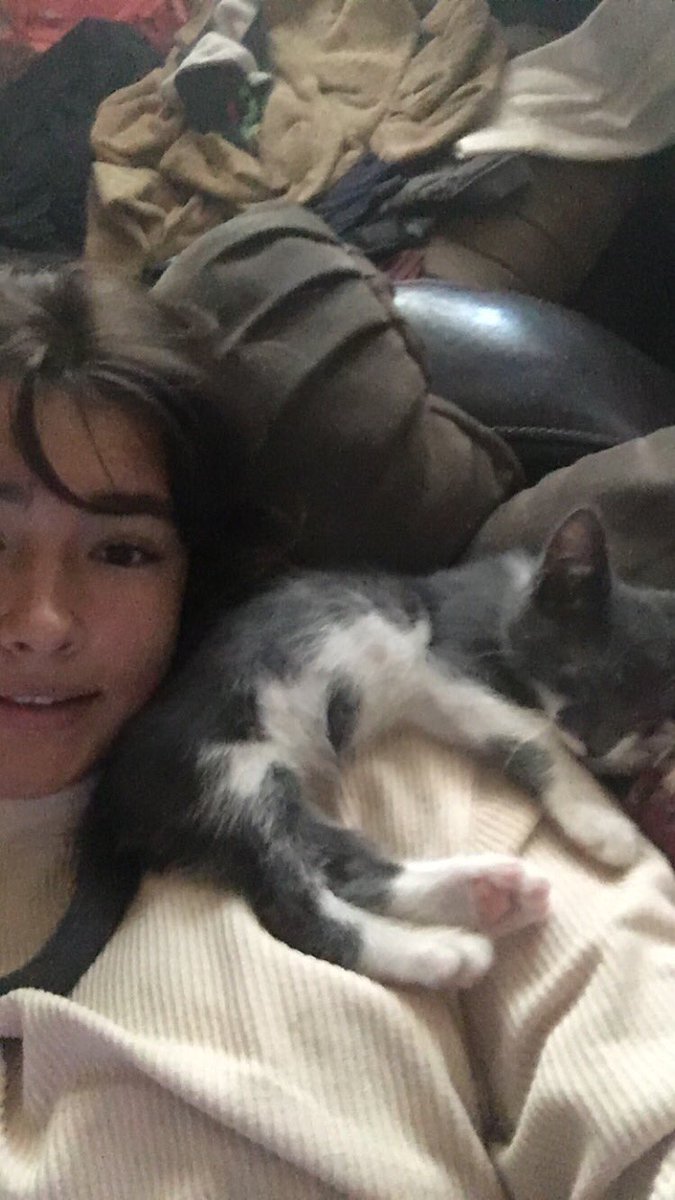 mintjuu1pod's tweet photo. i miss my cat https://t.co/ZNvWfEiSXy