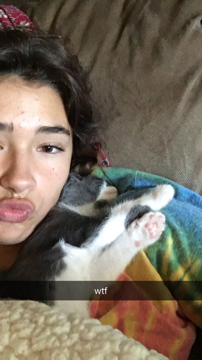 mintjuu1pod's tweet photo. i miss my cat https://t.co/ZNvWfEiSXy