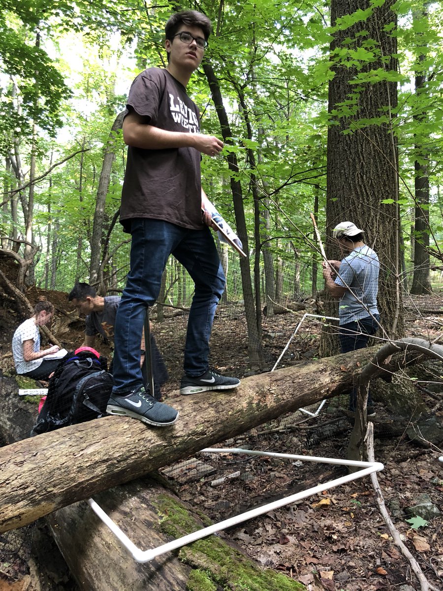 NathanLamEES's tweet photo. Identifying and measuring tree saplings in the Experimental Forest! We looked at Plot 2A with a fallen Tulip Poplar and found a salamander! #EES152 https://t.co/LPnudKO3TV