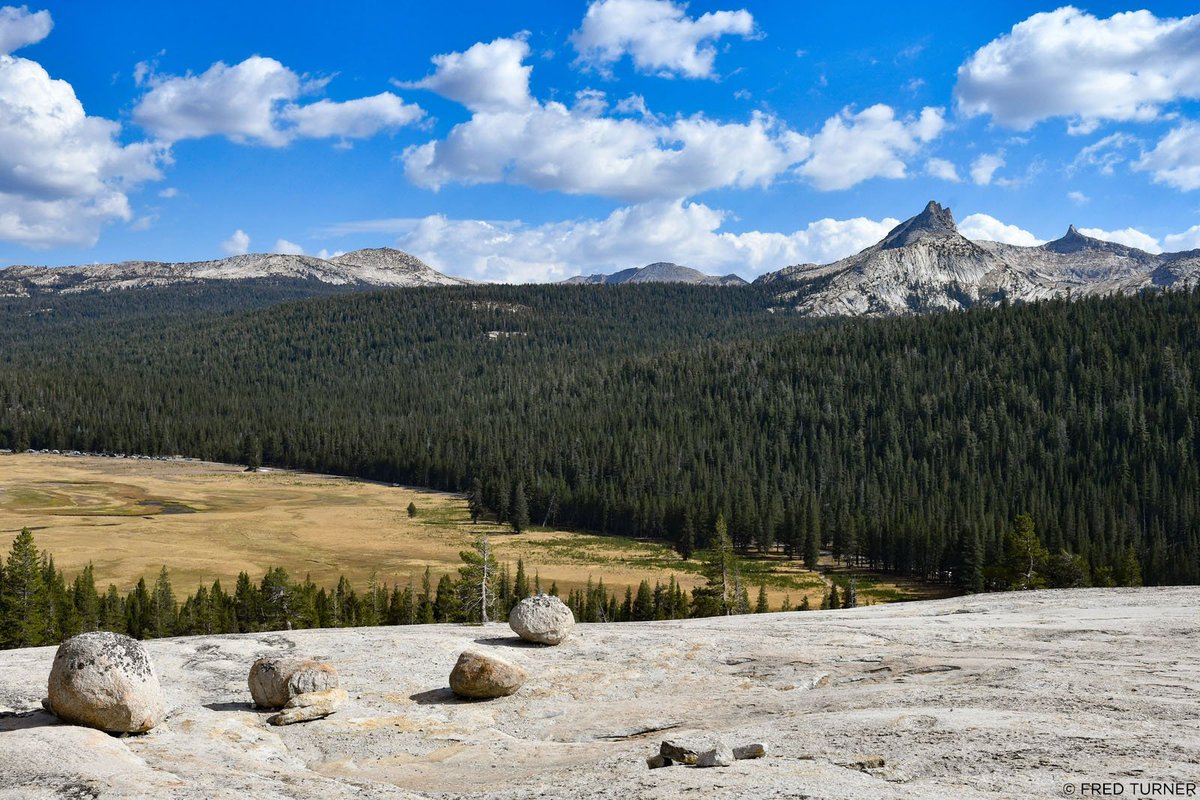 YoseConservancy's tweet photo. On Oct. 1, 1890, #Yosemite became the third U.S. national park (after Sequoia, 1890, &amp; Yellowstone, 1872). At the time, Yosemite Valley &amp; Mariposa Grove were managed by California; both were added to the park in 1906. What has this special place given you?

📷: Fred Turner https://t.co/yHHpHAwIoW