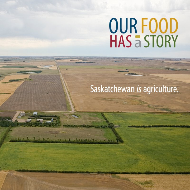 FarmFoodCareSK's tweet photo. Saskatchewan #AgMonth18 officially starts today! Follow along as we celebrate our farm and food stories. To learn about our agri-food industry and the story of your food, visit https://t.co/ttqPpw0jHH.  #ourfoodhasastory https://t.co/48qtVtLrp0