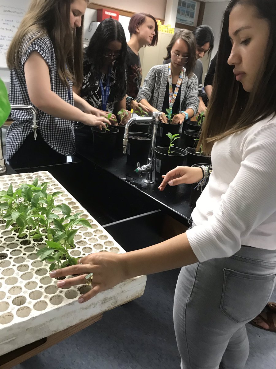 Green Group (Barron Colliers environmental club) planting peppers for community service! <a href="/BarronCollier/">Barron Collier</a> <a href="/CollierScience/">Collier Science Dept</a>