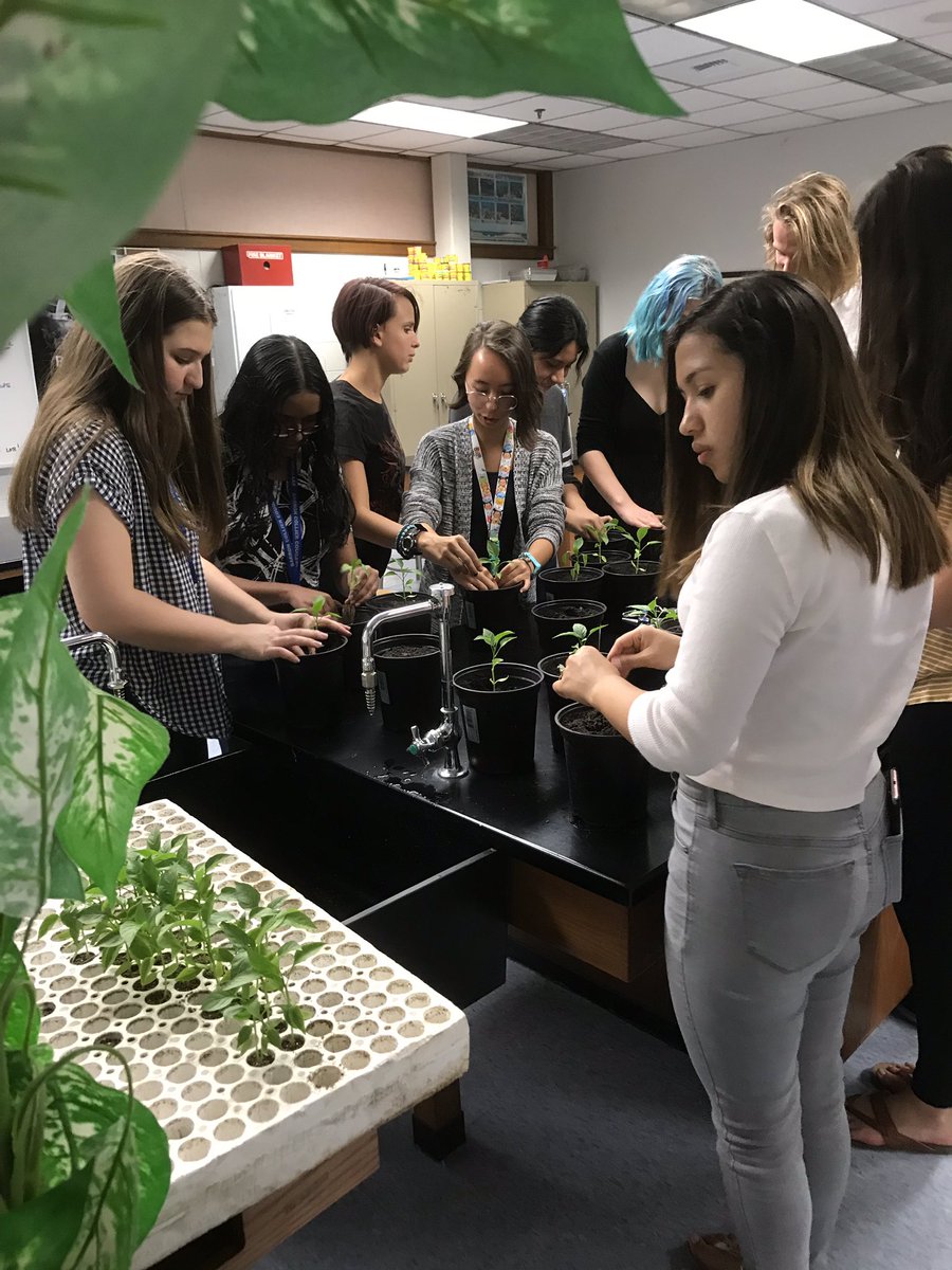 sharpbiology's tweet photo. Green Group (Barron Colliers environmental club) planting peppers for community service! @BarronCollier @CollierScience https://t.co/6disHBp2sn