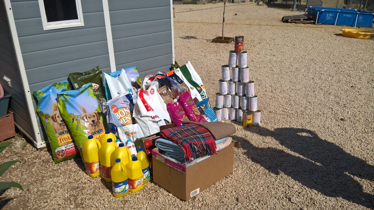 Alexandra997755's tweet photo. #Today #SAHteam showning #Solidarity once again, this time for our four-legged friends at @FidelioProte 🐶🐕 #Benalmádena Animal Rescue Shelter. Our donation was over 300 kilos of food and more. Thank you #OneTeam #SaharaSunset https://t.co/ESF3r1tEPr