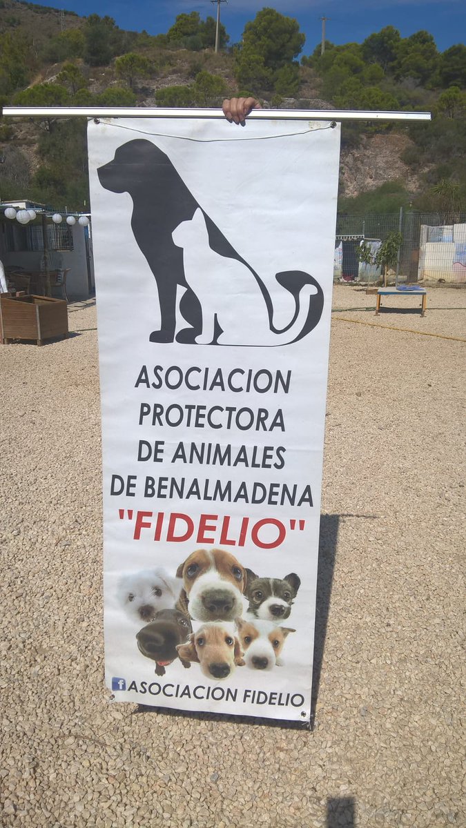 Alexandra997755's tweet photo. #Today #SAHteam showning #Solidarity once again, this time for our four-legged friends at @FidelioProte 🐶🐕 #Benalmádena Animal Rescue Shelter. Our donation was over 300 kilos of food and more. Thank you #OneTeam #SaharaSunset https://t.co/ESF3r1tEPr