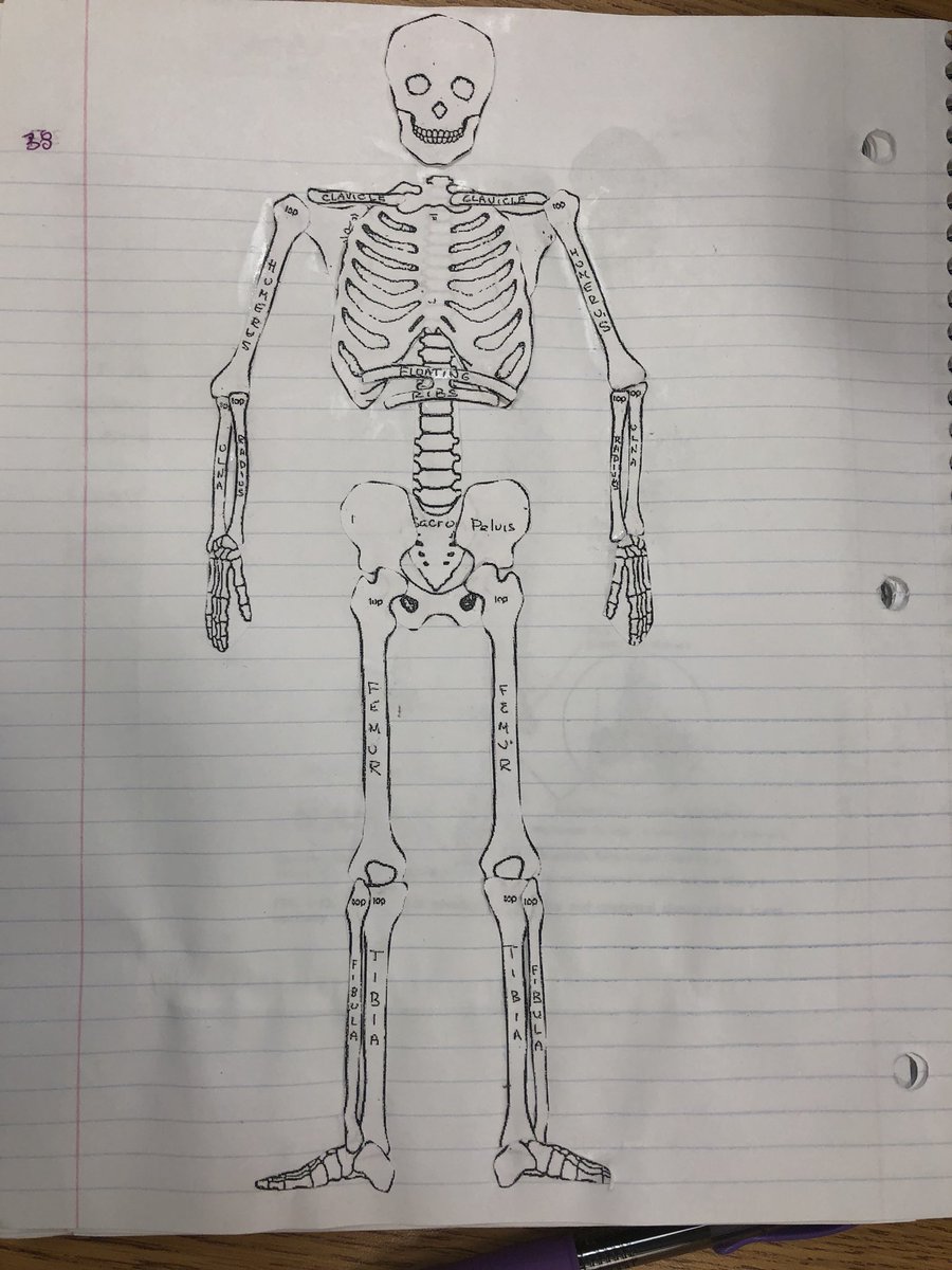 MrsANowak's tweet photo. Monday happenings in Forensic Science. https://t.co/MJOWMD3bKg