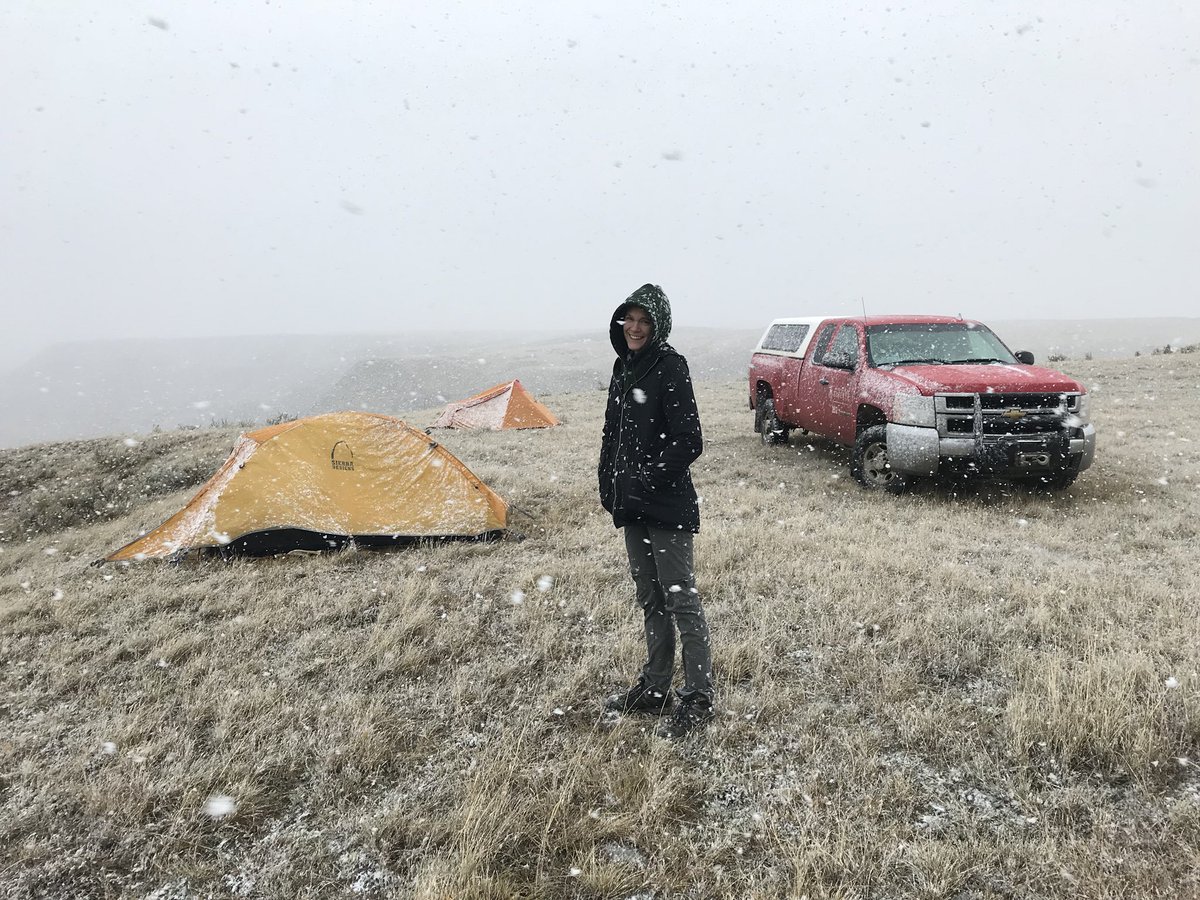 AaronVDReest's tweet photo. Had a great weekend with a great field and lab tech and friend, Christina Hatley, finishing up a quarry for an interesting ceratopsian skull from White Rock Coulee, southern Alberta! Found a nice complete maxilla and an as-of-yet unidentified bone. #dinodigs #fieldwork2018 https://t.co/yVm64Boc0I