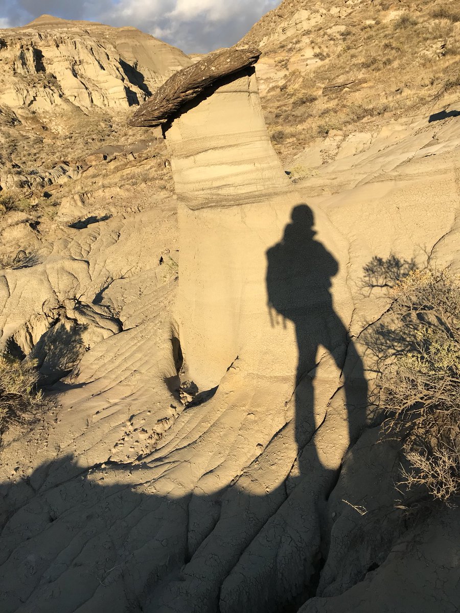 AaronVDReest's tweet photo. Had a great weekend with a great field and lab tech and friend, Christina Hatley, finishing up a quarry for an interesting ceratopsian skull from White Rock Coulee, southern Alberta! Found a nice complete maxilla and an as-of-yet unidentified bone. #dinodigs #fieldwork2018 https://t.co/yVm64Boc0I