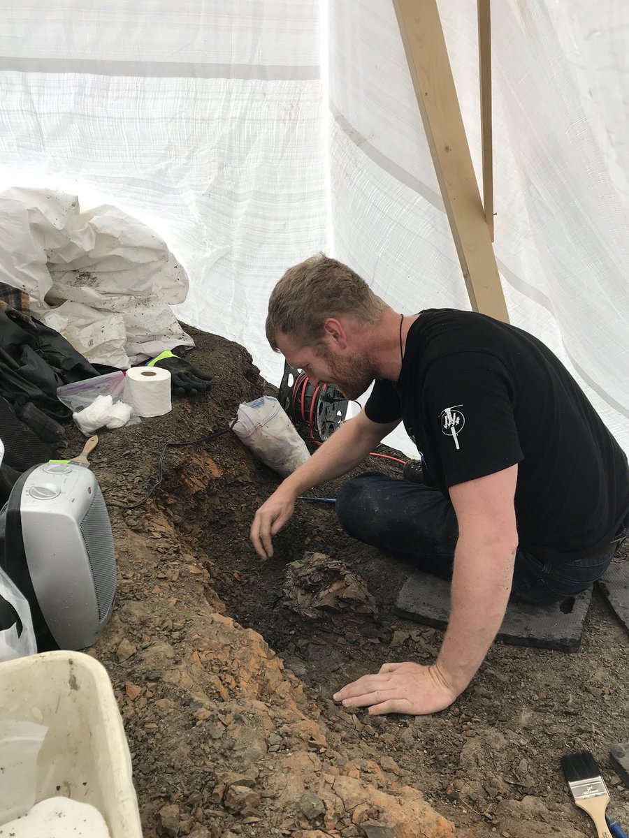 AaronVDReest's tweet photo. Had a great weekend with a great field and lab tech and friend, Christina Hatley, finishing up a quarry for an interesting ceratopsian skull from White Rock Coulee, southern Alberta! Found a nice complete maxilla and an as-of-yet unidentified bone. #dinodigs #fieldwork2018 https://t.co/yVm64Boc0I