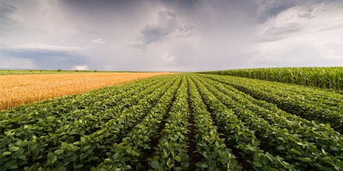 vaneck_us's tweet photo. Portfolio Manager David Schassler examines how rising #inflation, solid economic growth, escalating #tradetensions and a strong US #dollar are impacting #realassets #RAAX: https://t.co/6c38xS6LQY https://t.co/RrHokDoFW2 https://t.co/poGD7Hru9I