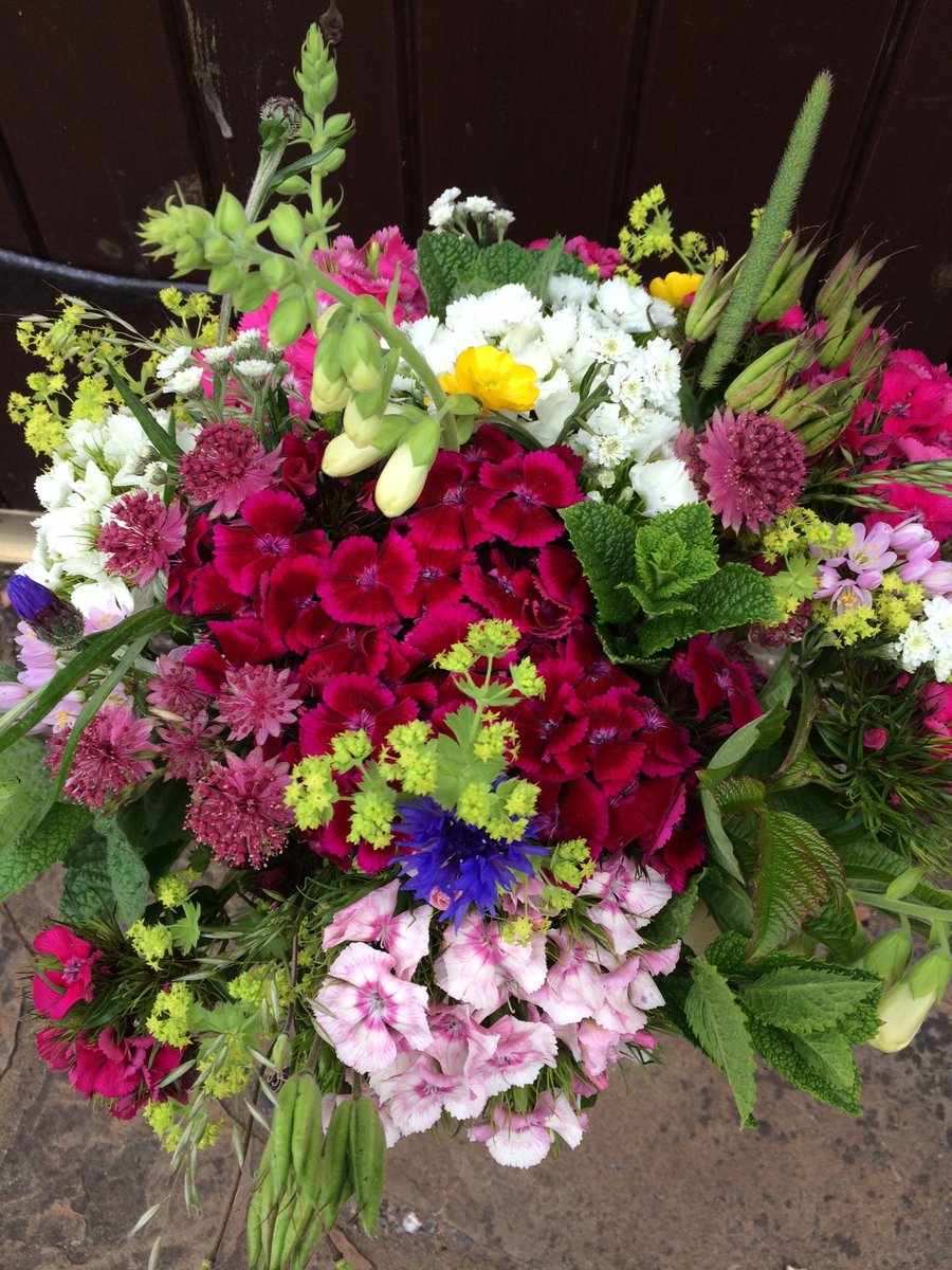 CAfStweets's tweet photo. #GreenBuildFest thank you to @EmmaGreenshaw from CAfS and Fellside Flower Company for hosting our workshop on growing your own cut flowers in #Cumbria. https://t.co/ipiLgQbTDf