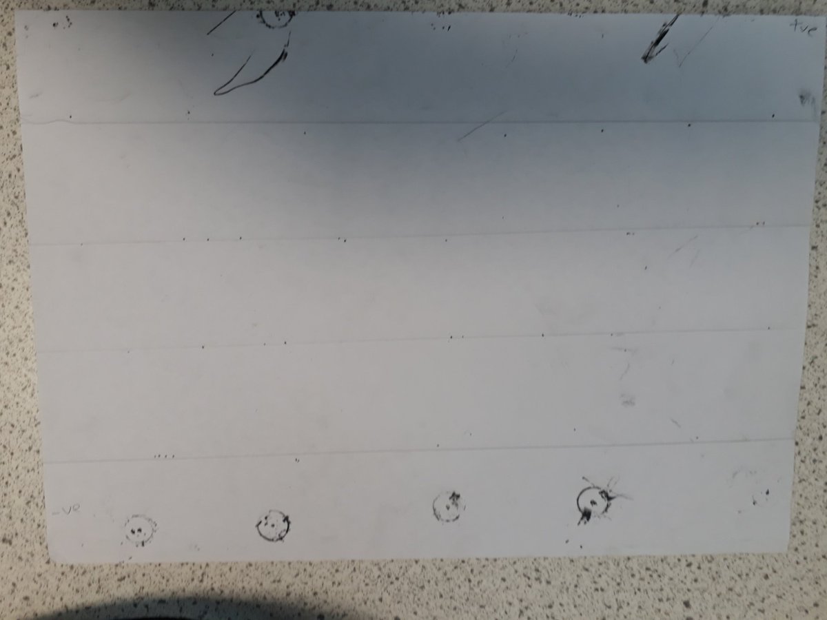 MrSearsPhysics's tweet photo. Year 13 plotting equipotentials using conducting paper and carbon paper! It did involve giving them hammers though... #diyphysics @johntaylorhigh https://t.co/LQ7vG3ZOYm
