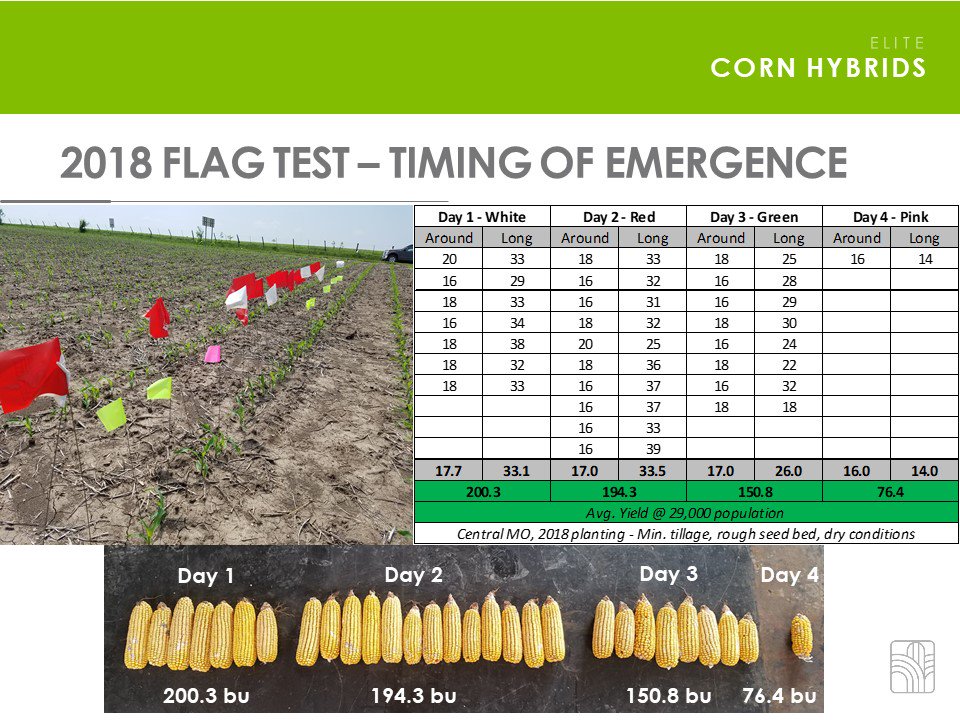 The planter is the most important tool on the farm.  Even during harvest season!  Check out the conclusion to this flag test study done by <a href="/AgriGold/">AgriGold</a> Agronomy! Uniform emergence is the key to high yields in the fall.