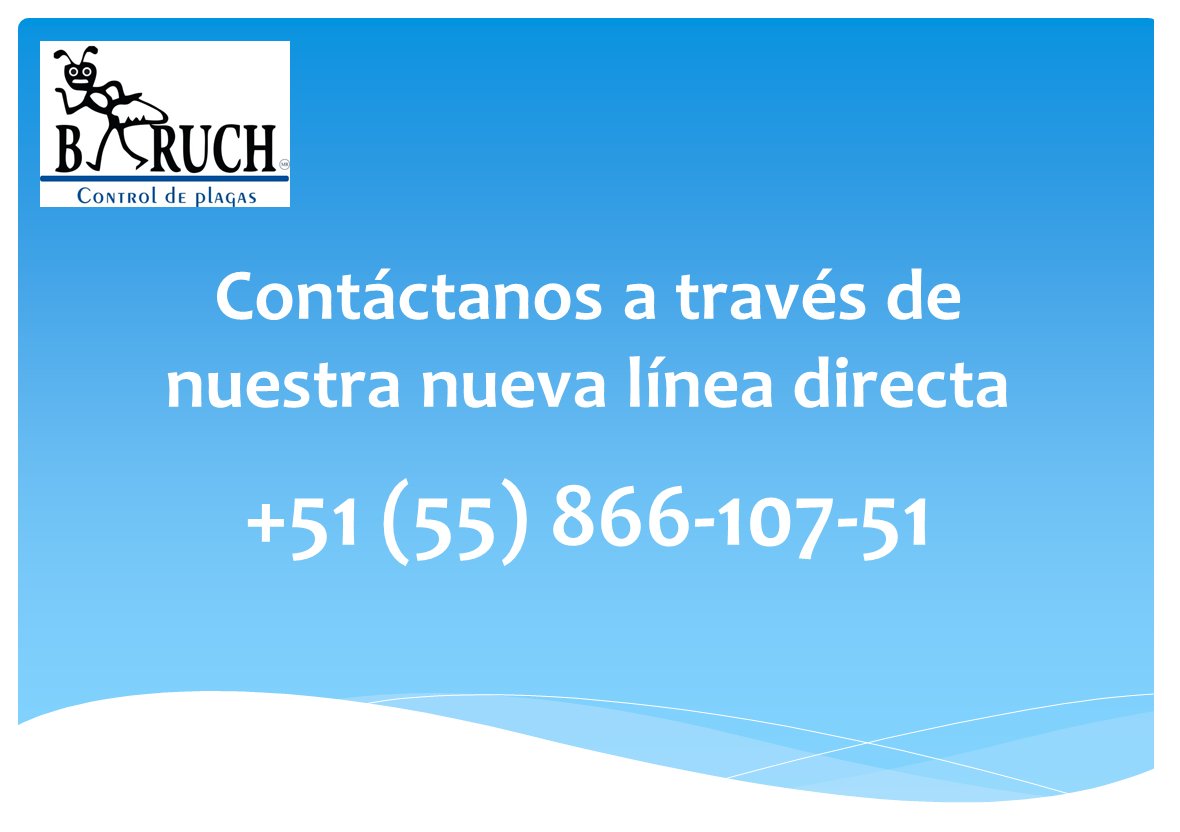 ControlPlagaB's tweet image. Baruch Control de Plagas
Nueva Linera Directa... Estamos a sus ordenes 🤗📞