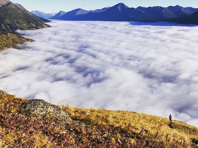 Akrunners's tweet photo. Descending back into the abyss and the realities of life. #Repost @a_case_for_contentment
・・・ https://t.co/CGTAK623SX https://t.co/Tv1gRQBJUp