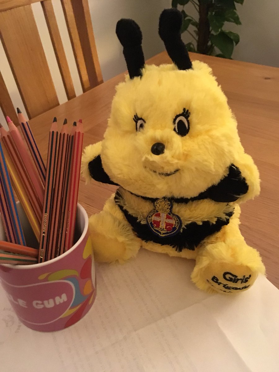 BeelindaGb's tweet photo. My head is spinning! Another fun night with the Explorers and Juniors at #1stCaldercruix. We’ve got homework for next week .... draw a picture of something we can’t live without! Hmm..got my pencil and paper at the ready! L8rs everyone! #GBistheplacetobee #gbinscotland https://t.co/i59I7Naw1h