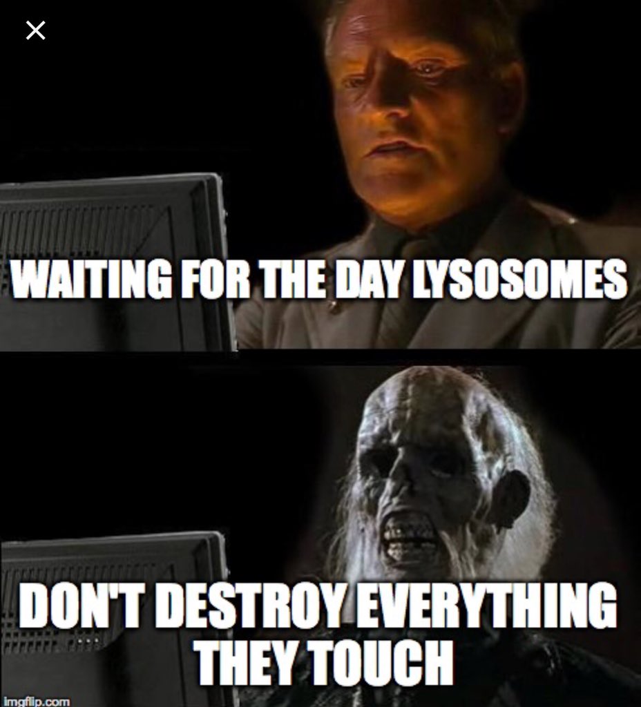 getamembrane's tweet photo. @LYSOZONE_bois maybe next time you should prevent diseases not cause them, most people don’t want weakened bones or die early from gauchers disease #cellwarsMrsS18_07 https://t.co/8D6lWZguVH