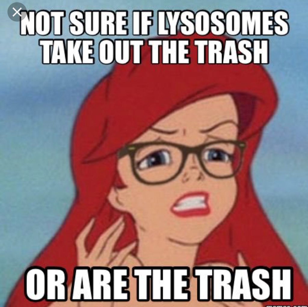 getamembrane's tweet photo. @LYSOZONE_bois maybe next time you should prevent diseases not cause them, most people don’t want weakened bones or die early from gauchers disease #cellwarsMrsS18_07 https://t.co/8D6lWZguVH