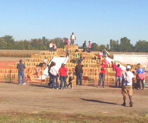 RellekeFarmsIL's tweet photo. School tours start this week and we're so excited to host you and your students! Have you reserved a tour for your class yet? Call (618) 797-6858 during work hours or (618) 823-3434 after hours and weekends to do so! https://t.co/pDmwJQyr1d