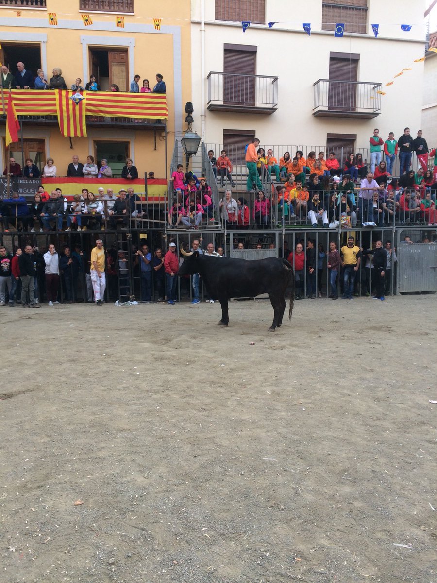 cantaritos1's tweet photo. Tarde de menos a más de Fernando Machancoses es Mora. La mejor en la foto, la 63. También a buen nivel 75, 96 y 87 #Machancoses #MoraDeRubielos #Teruel https://t.co/KL0pipBWu5