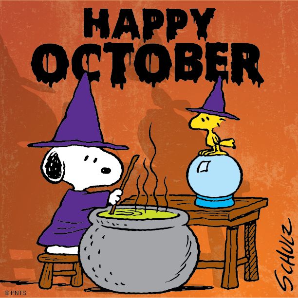 IrishWriter10's tweet photo. October's finally here, woohoo!! 🧛‍🧙‍🎃
#October1st #RollOnHalloween https://t.co/l9zpXHHl09