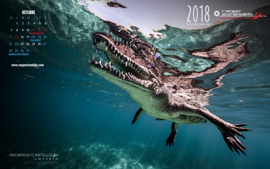 Rango_Extendido's tweet photo. Descarga RangoWall del mes de Octubre, las expediciones de Rango Extendido en tu fondo de pantalla
https://t.co/7tU5DnKyeF https://t.co/PgFkkExw9j