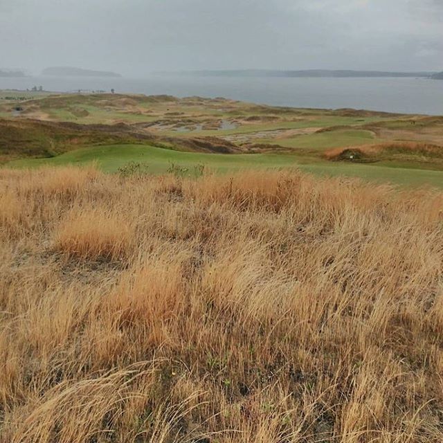 Chambers Bay from @chasemcevers instagram.com/p/BoZuyPcgnQS/