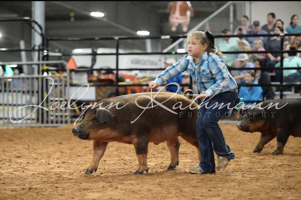here are some shots from the swine show!! super proud of all our FFA members who showed! #fbcf