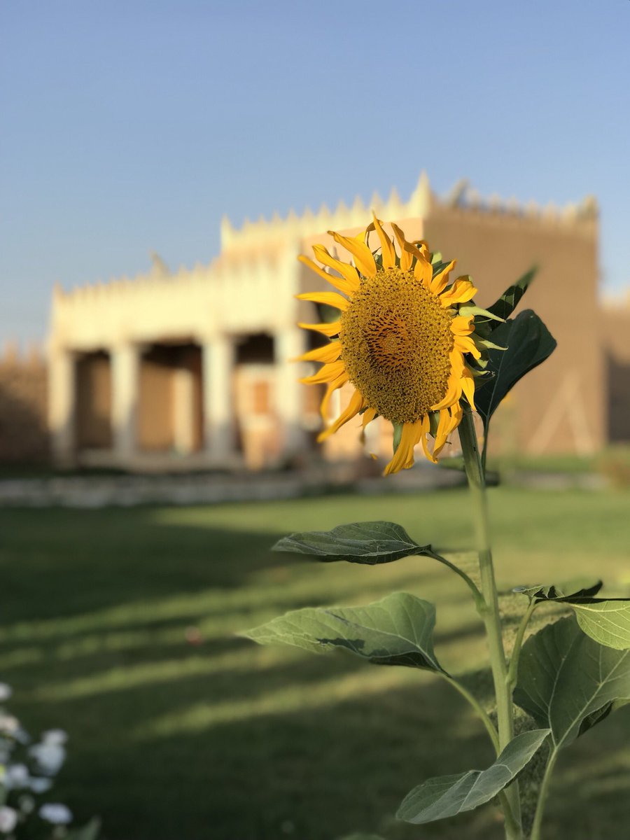 alsadlan1_'s tweet photo. #ورينا_تصويرك_بالجوال https://t.co/TwkR0Fjr5n
