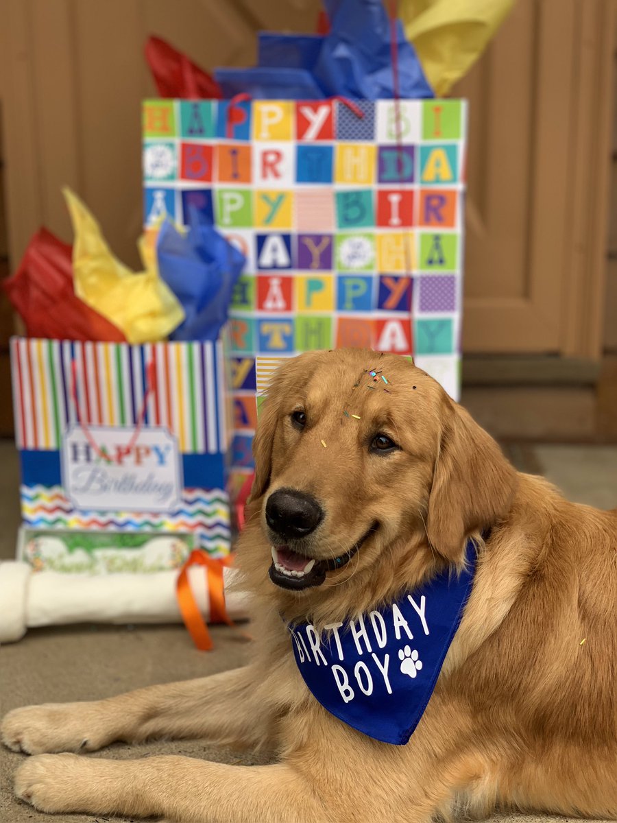 sadiesmash's tweet photo. hey guys it’s Porter’s first birthday today https://t.co/OU8JaP8WoH