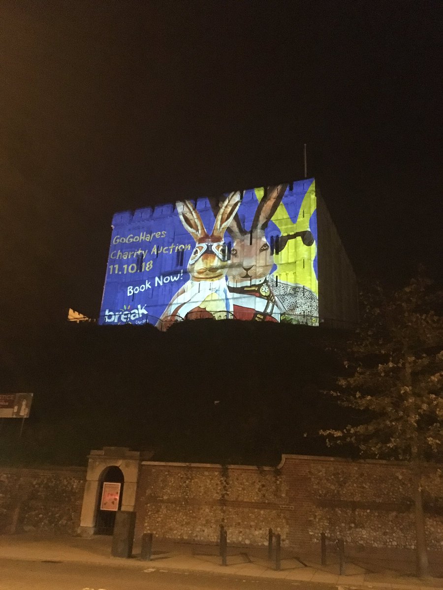 Guess what! We have the projections back only this time they are even better! Check out from 8-midnight until the auction thanks to <a href="/NorwichBIDUK/">Norwich BID UK</a> and team #MOA at @HelenVinsen for this fitting ending to <a href="/break_charity/">Break</a> summer of #gogotrails @GoGoCreate <a href="/wildinart/">Wild in Art</a>