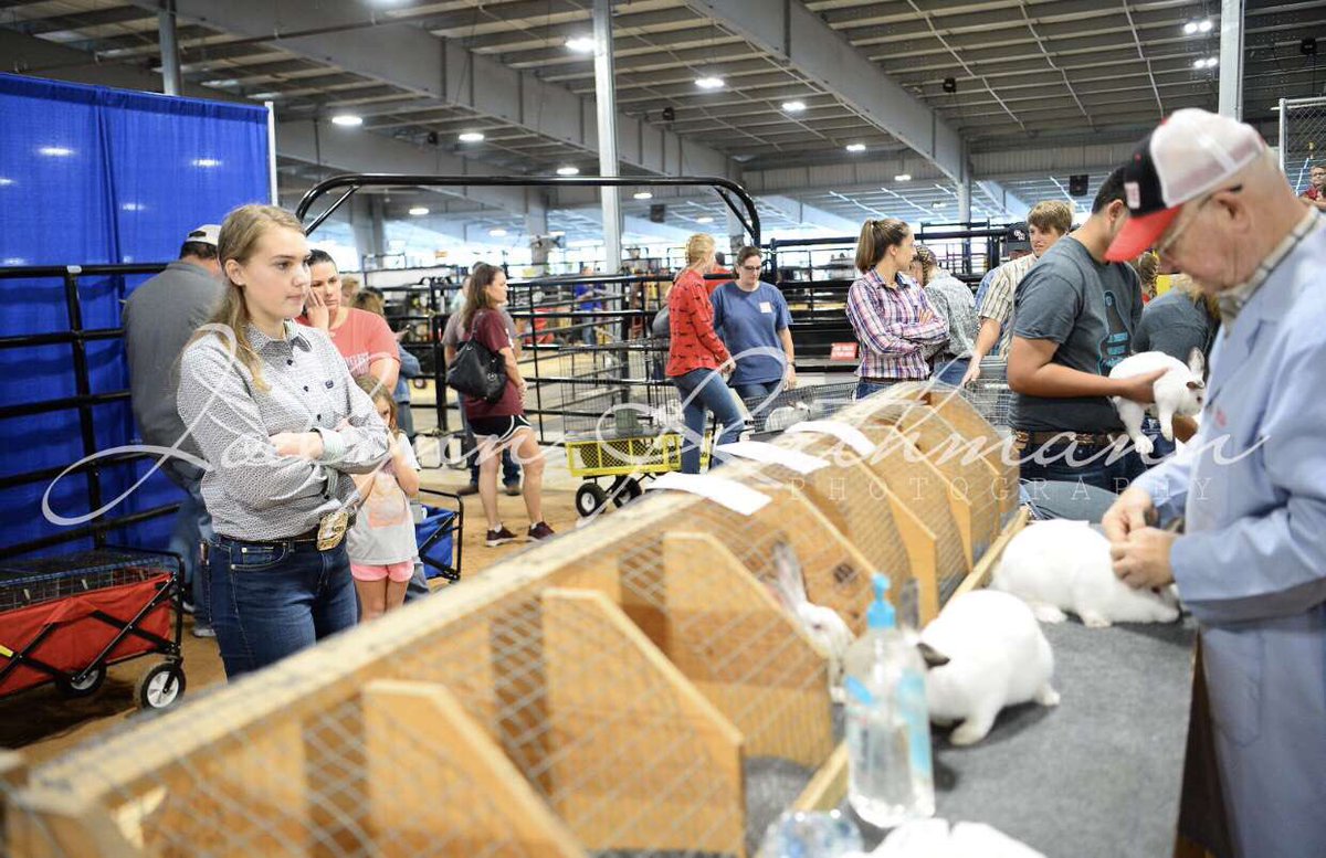 some shots from the rabbit show, so proud of those who showed!! #fbcf