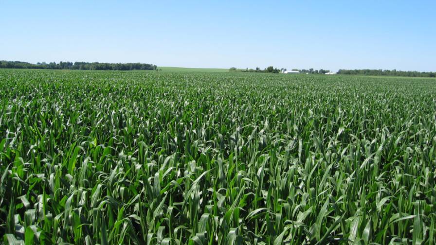 GlobalAgTech's tweet photo. MFA Inc. Announces Expanded Partnership with Adapt-N https://t.co/MGie4CbY0l https://t.co/2FbM5YBnVl